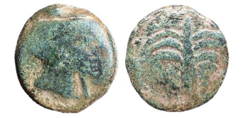 105 - Baria. Calco. 200-100 a.C. Villaricos (Almería). (Abh-213). (Acip-628). (MIB 628 | 15/3)