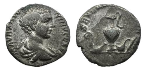 324   -  Geta. Denario. 203 d.C. Roma. (Ric-3). (Rsc-188).