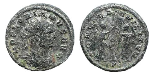383   -  Floriáno, 276. AR Antoniniano . Cícico, julio-agosto de 276. (RIC 116. )