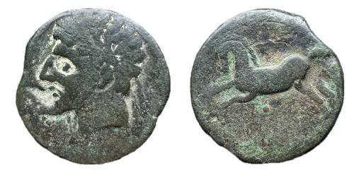 99 - Norte de África. Massinissa o Micipsa. AE 25. 203-148 a.C. Reyes de Numidia. (Mazard-45). (MAA-18d).