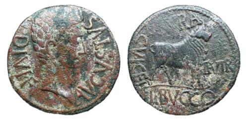 105 - Kelse-Celsa. Época de Augusto. As. 27 a.C-14 d.C. Velilla de Ebro (Zaragoza)