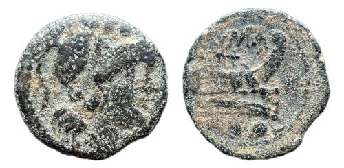 133   -  Anónimo republicano romano, 215-212 a. C. Roma, semis