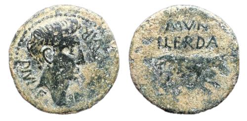 78   -  Ilerda. Época de Augusto. As. 27 a.C-14 d.C. Lleida (Cataluña). (Abh-1488). (Acip-3199).