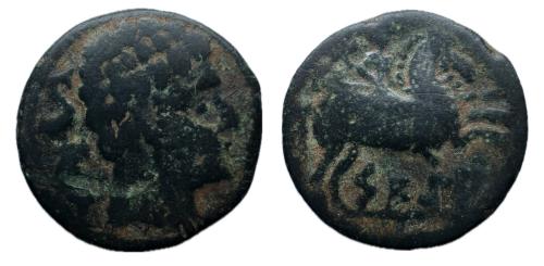 131 - Sekia. As. Unidad. 120-20 a.C. Ejea de los Caballeros (Zaragoza). (Abh-2157). (Acip-1454).